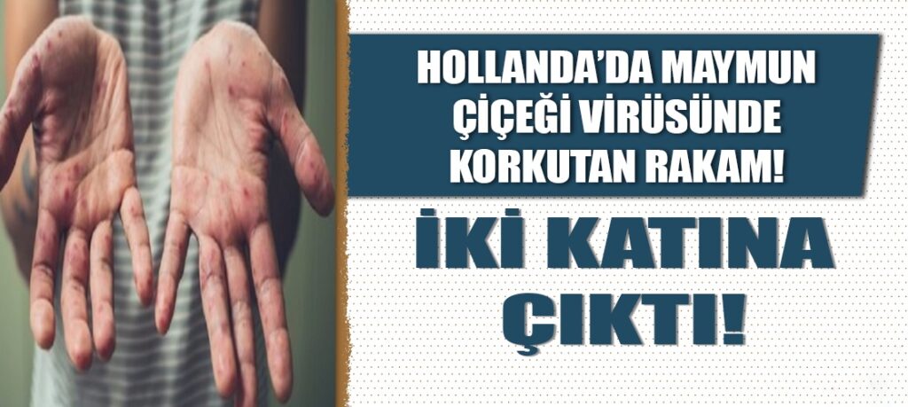 Hollanda Sapkınlığın Bedelini Ödüyor