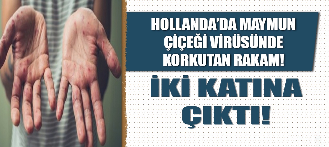 Hollanda Sapkınlığın Bedelini Ödüyor